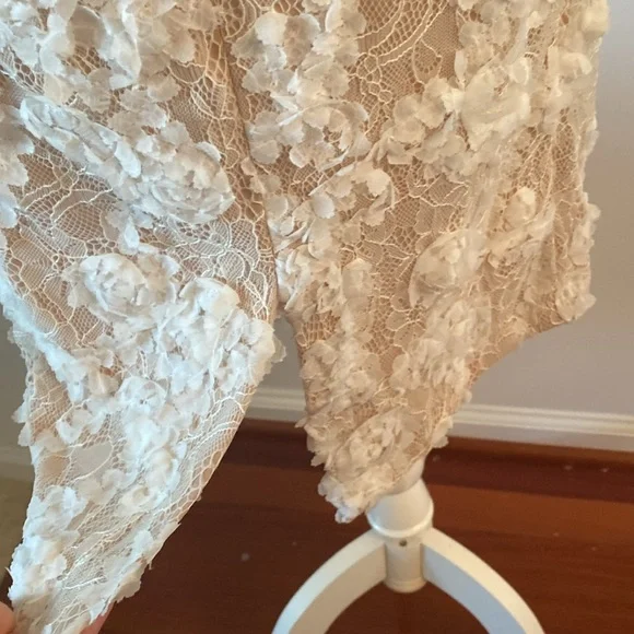 XSCAPE size 4 stunning lace dress tan lining - Picture 8 of 13